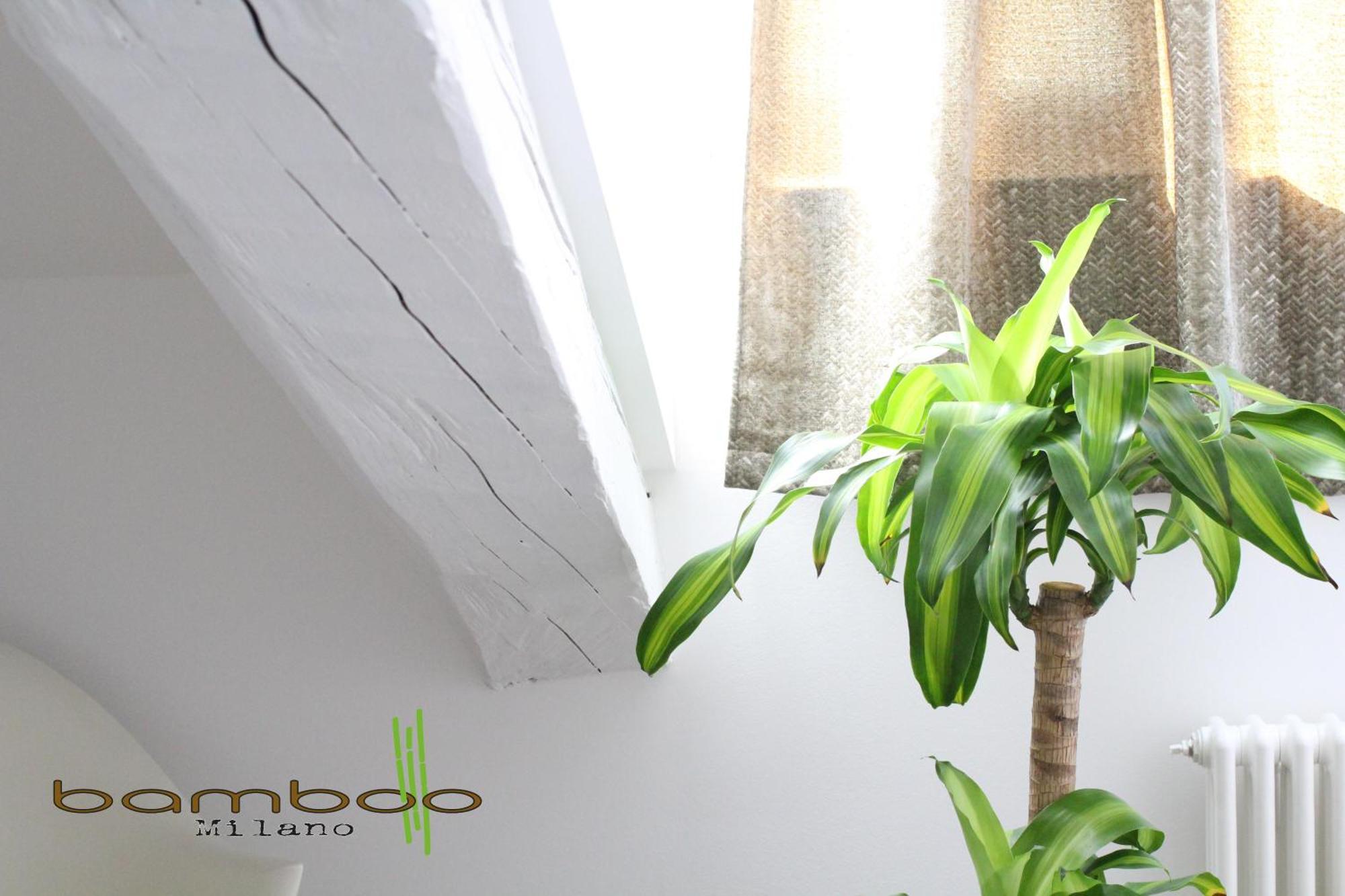 Bamboo Milano Isonzo 아파트 외부 사진
